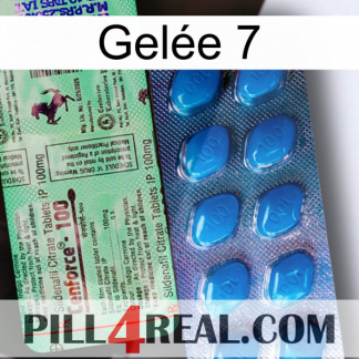 Gelée 7 new02